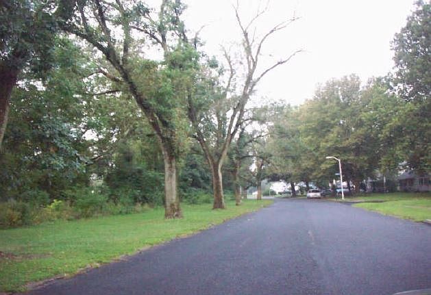 2nd image of 229 Holly Dr