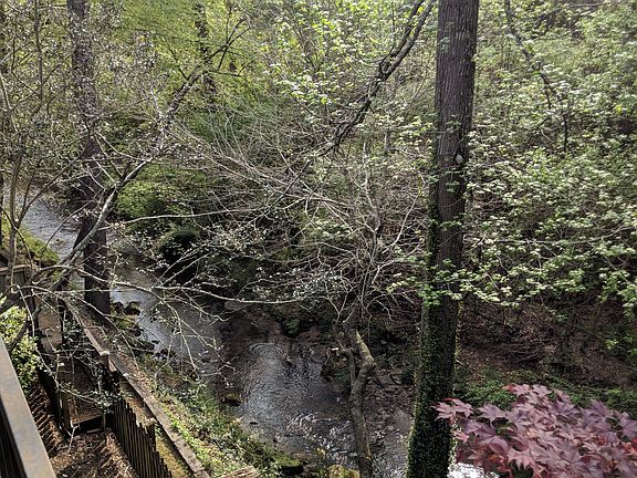 View from 150 Balcony