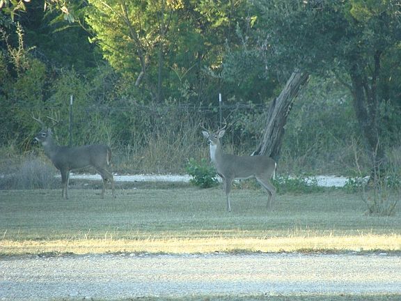 3rd image of 618 County Road 4270
