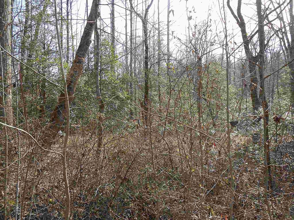 2nd image of 0 Duncan Bridge Rd Tract 4