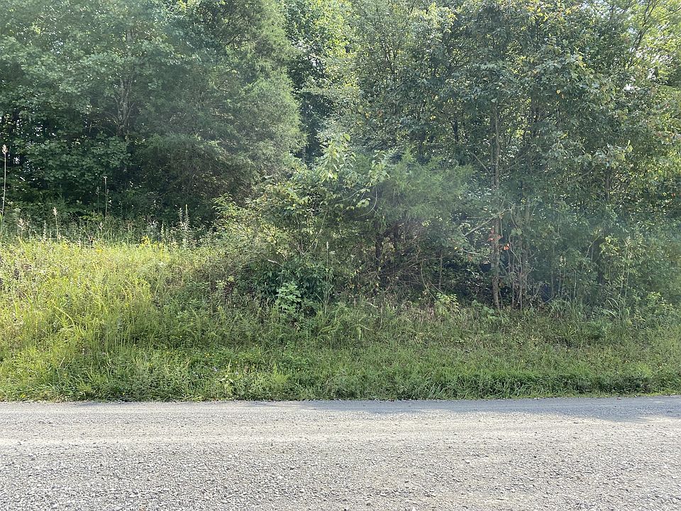 2nd image of 0 Jones Hollow Rd