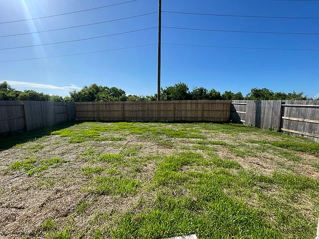 Backyard