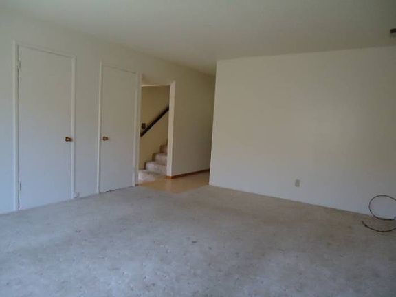 New Carpet