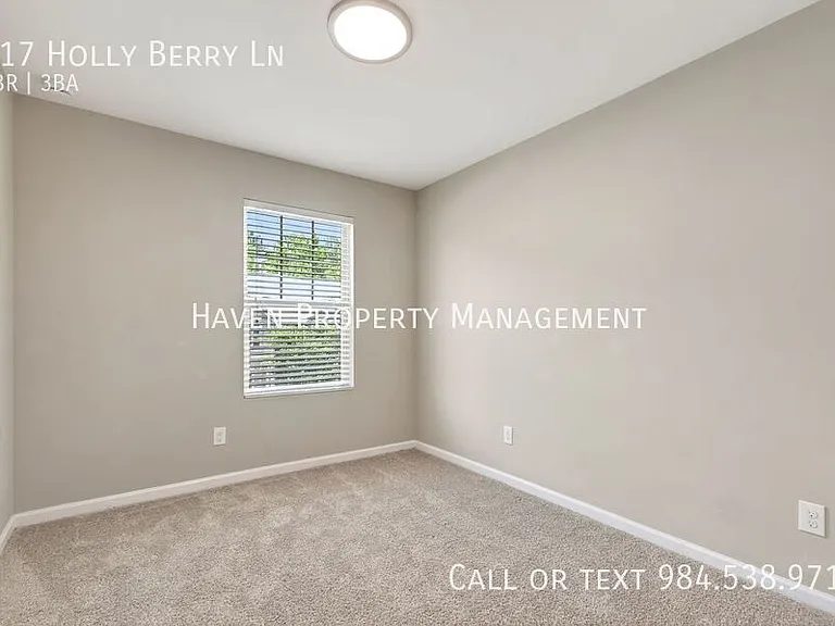 117 Holly Berry Ln — Photo 27