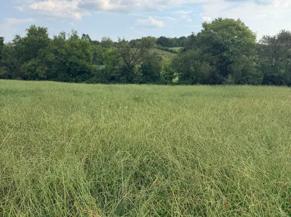 2 Springvale Rd, Morristown, TN 37813