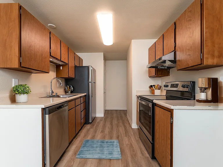 Contemporary Kitchen View