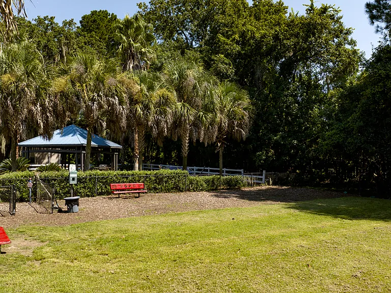 Playground and Park Area