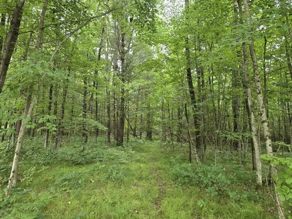 5369 E 68th St, Chase, MI 49623