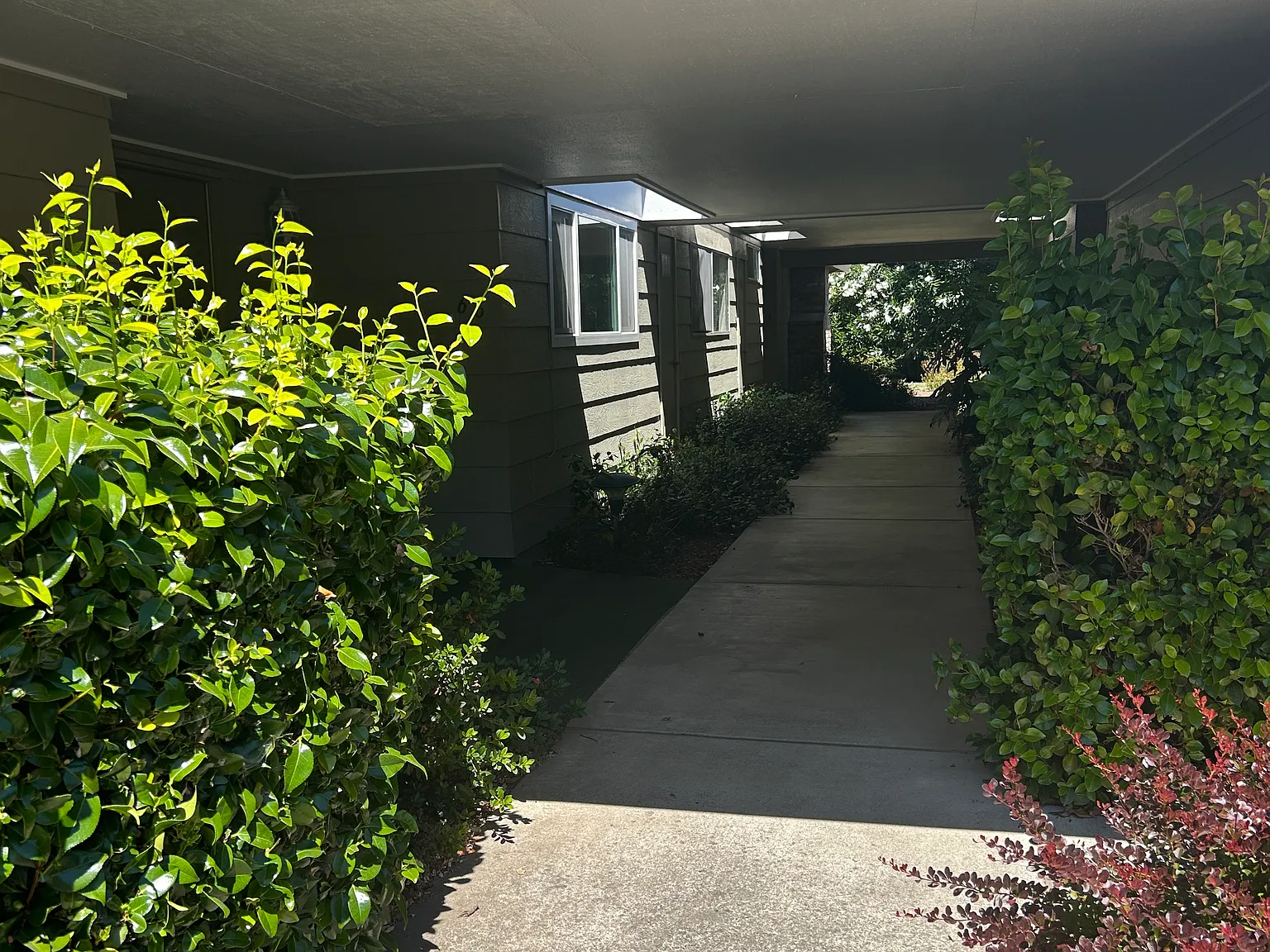 2 bed, 1172 sqft, $2,800 — Photo 2
