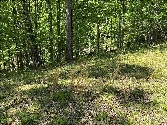 4th image of Lot 21 Happy Berry Drive