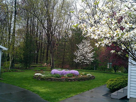 Back Yard from Driveway