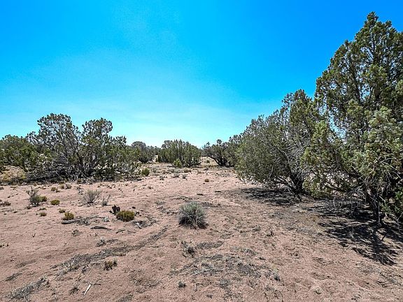 5th image of 105 County Rd N9191 -- #-