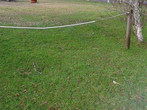 20151209_132053 (720x1280)
