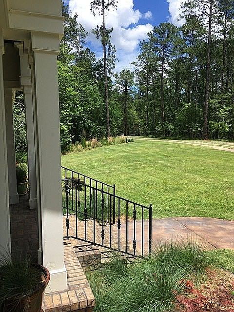 View out driveway