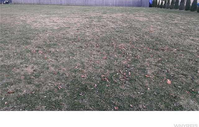 2nd image of 1012 Billington Ave