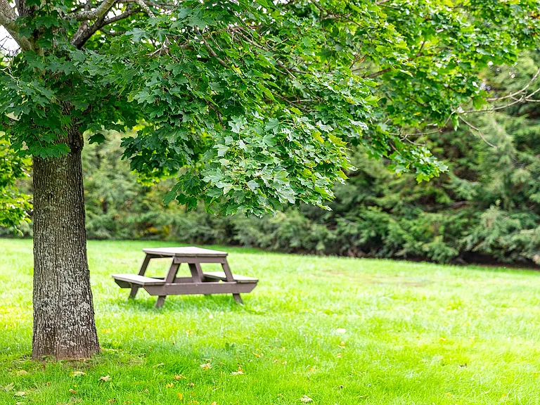 PBrookpicnic92921 (9)