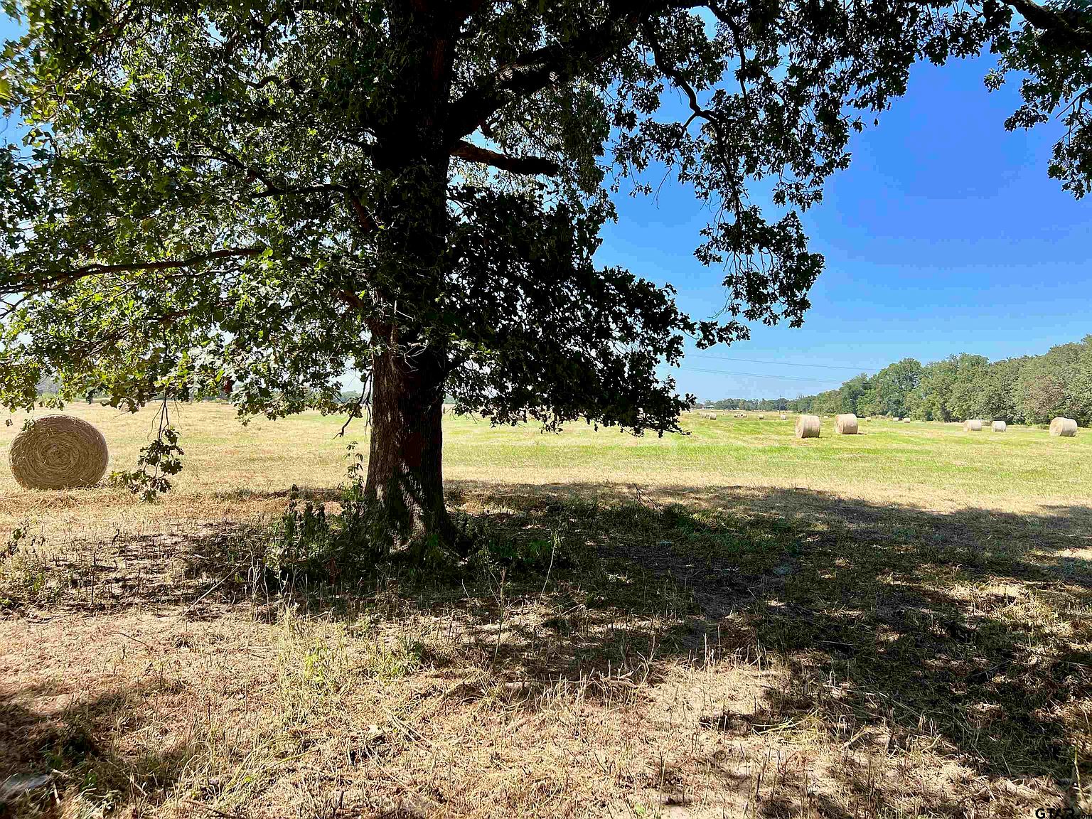 County Road 4305, De Kalb, TX 75559 Zillow