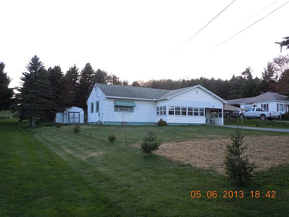 New grass planted in yard