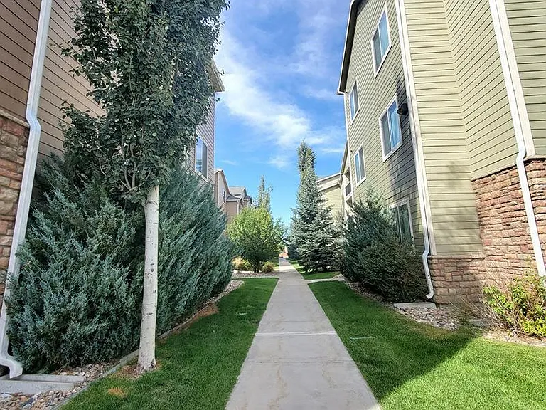 South Fork — Photo 17