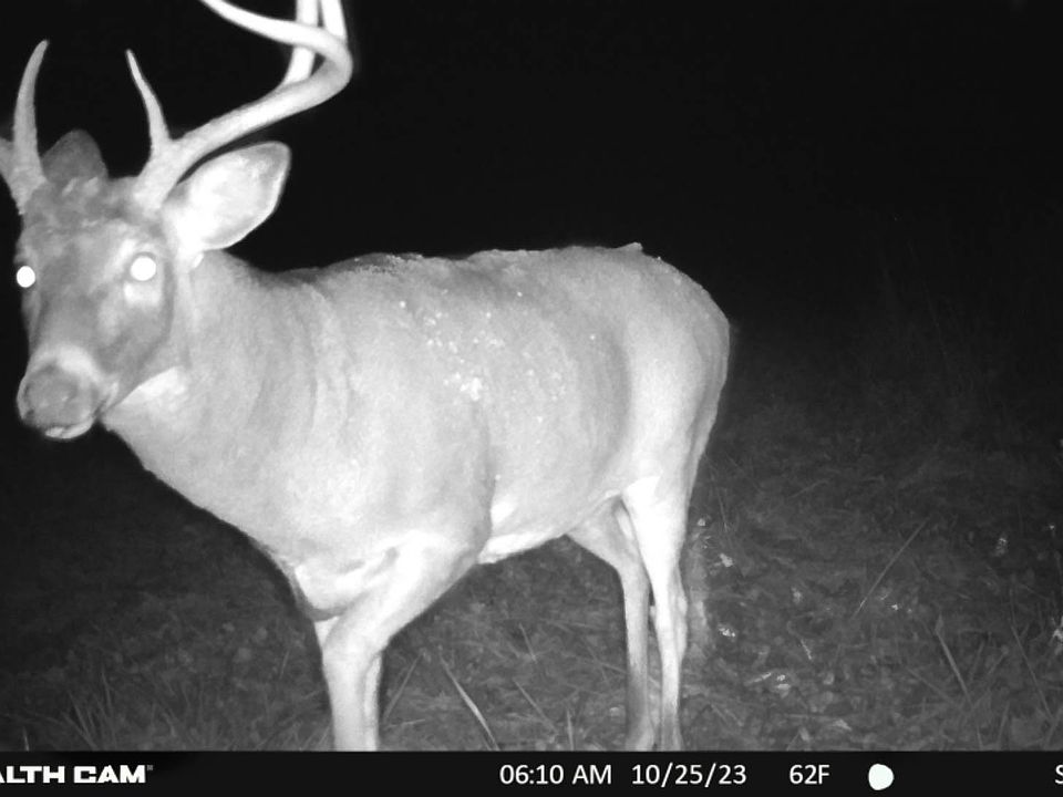 1st image of N8438 9th Ave S