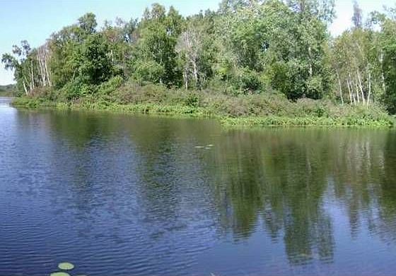 1st image of 5164 Pine Point Dr