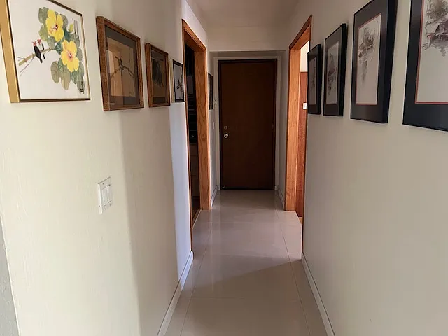 Hallway connecting garage, living room, and dining room.