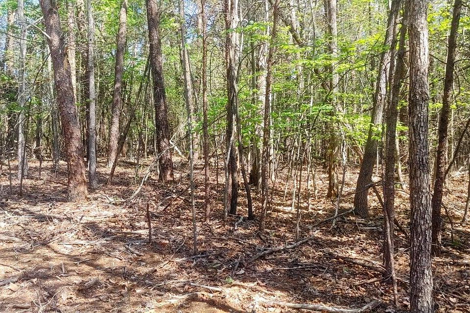 1st image of 130 Harbor Landing Dr