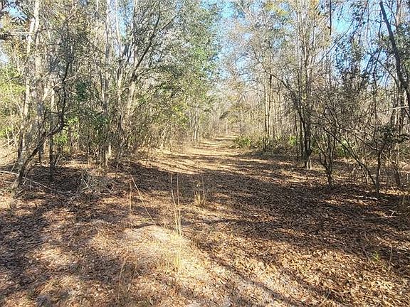 4th image of SW State Route 751 Lot 4