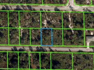 3319 Gerber Ave, Lake Placid, FL 33852