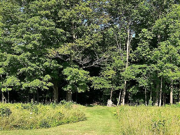 Entrance to 1 acre woodlot