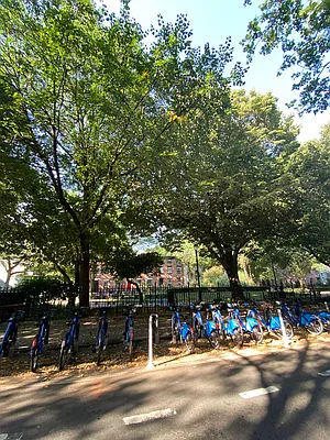 Rented by Douglas Elliman | media 7