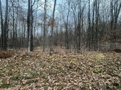 N Ham Lake Ln, Stone Lake, WI, 54876