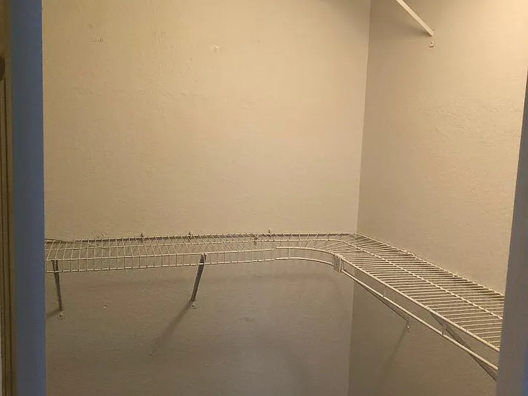 Master BR Closet