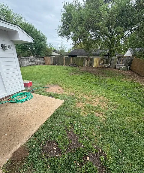 Backyard angled view