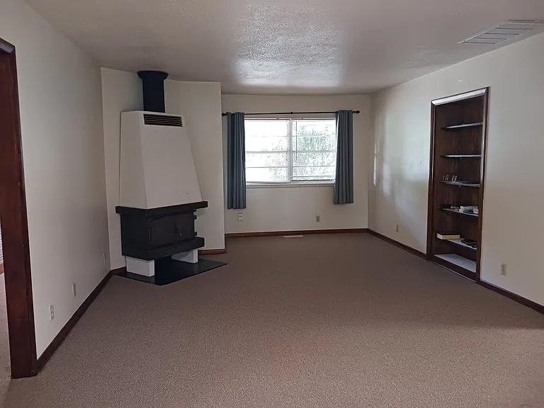 928 W Lindsey St — Photo 13