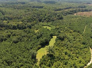 1600 Deer Run Rd, Dixons Mills, AL 36736