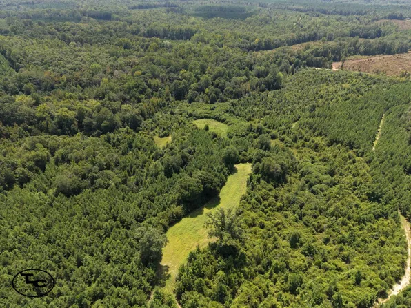 1600 Deer Run Rd, Dixons Mills, AL 36736