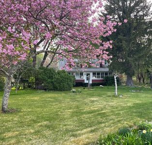 241 Fisher St, Walpole, MA, 02081