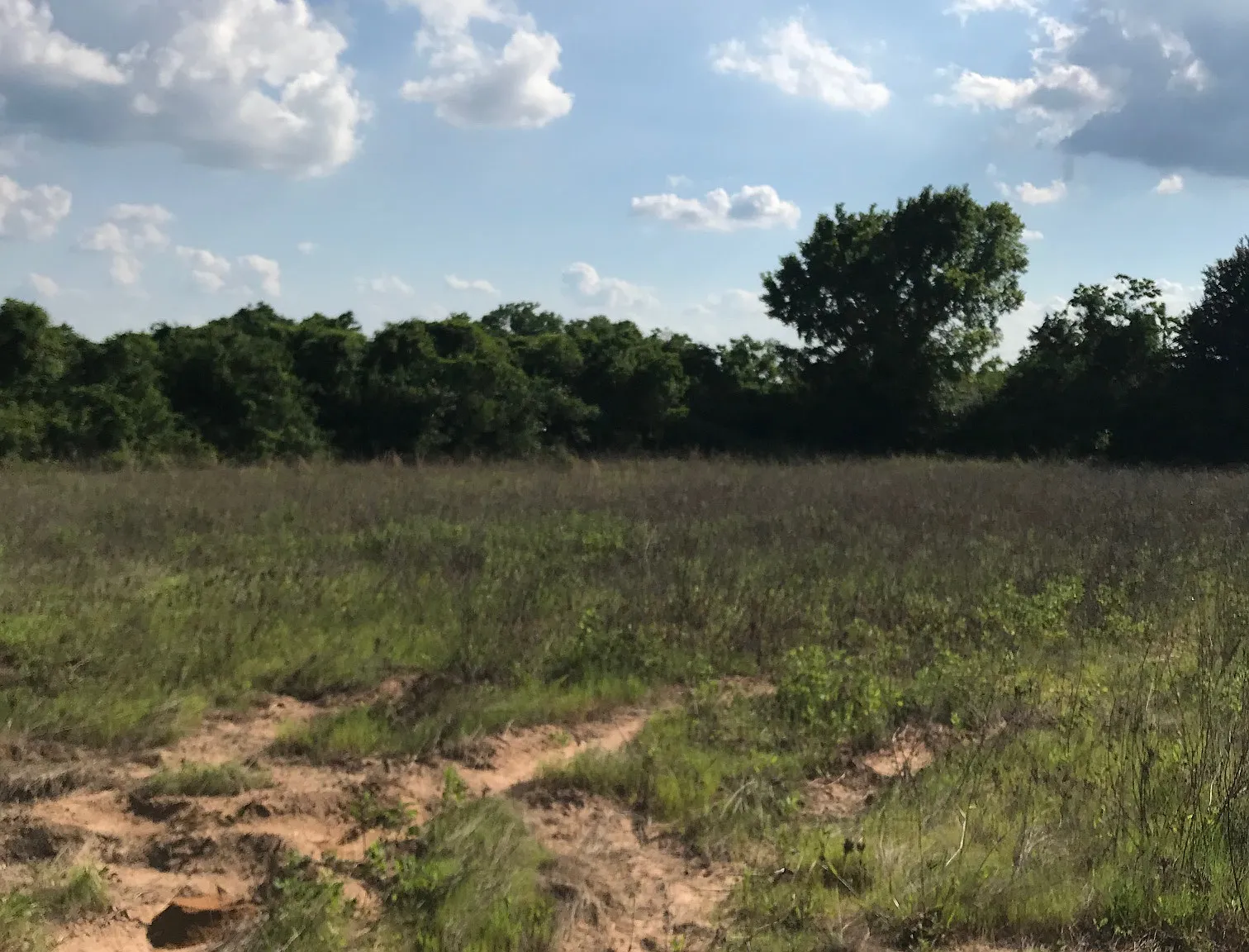 Manuel Rd, Prairie View — Photo 4