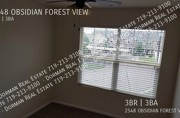 2548 Obsidian Forest Vw — Photo 14