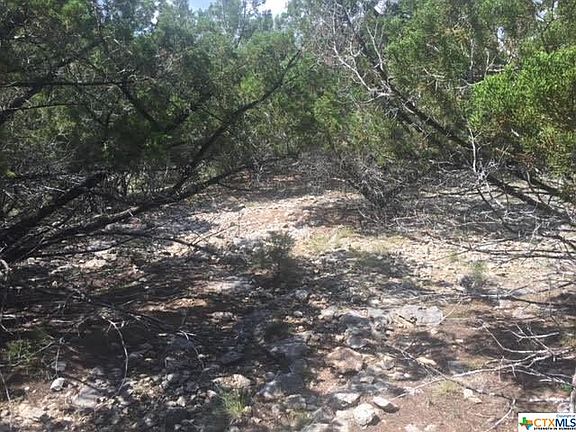 3rd image of 737 Military Dr
