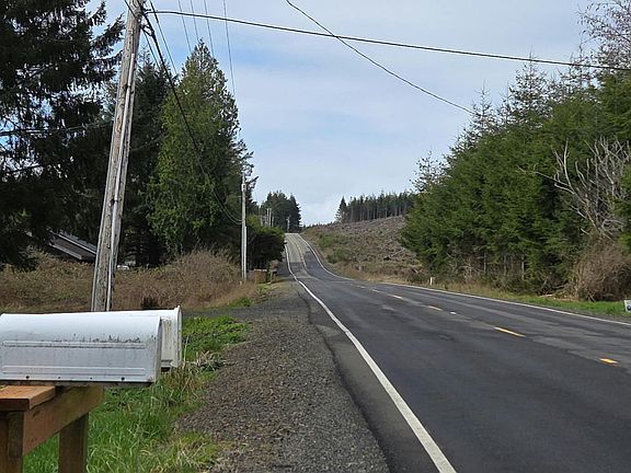 4th image of 175 Copalis Beach Rd