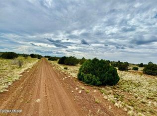 Show Pines Unit 10 Lots #206 & 205, Concho, AZ 85924