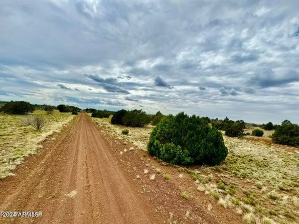 Show Pines Unit 10 Lots 205 & 206 -- #-, Concho, AZ 85924