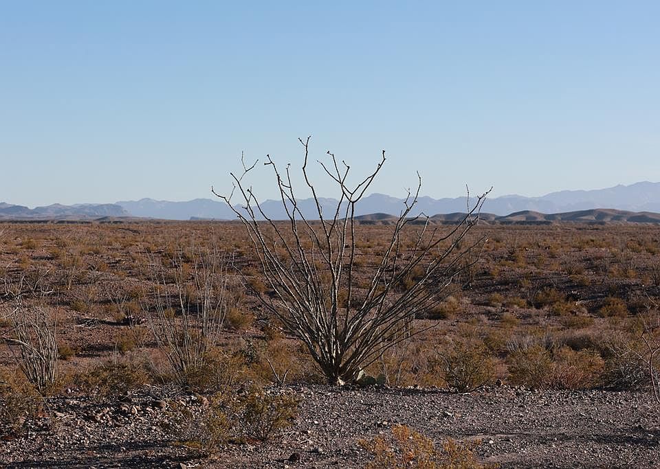 1st image of 29560 County Road 169
