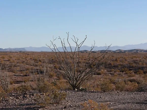 29560 County Road 169, Presidio, TX 79845