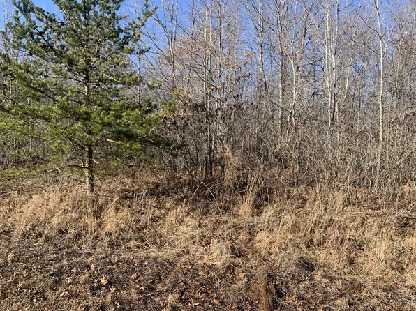 0 Williams Dr Lot 132.00, Spencer, TN 38585