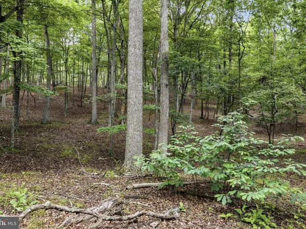 0 Pioneer Trl, Great Cacapon, WV 25422