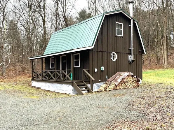 1749 Wrighter Lake Rd, Thompson, PA 18465
