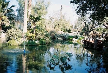 View from house of pond